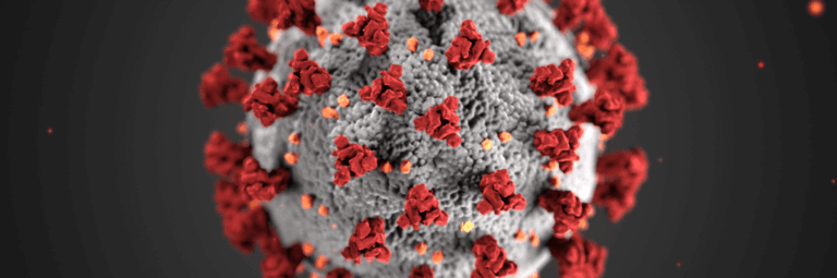 Magnified view of COVID.