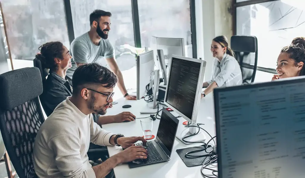 Do ERP consultants provide implementation or just advisory services?